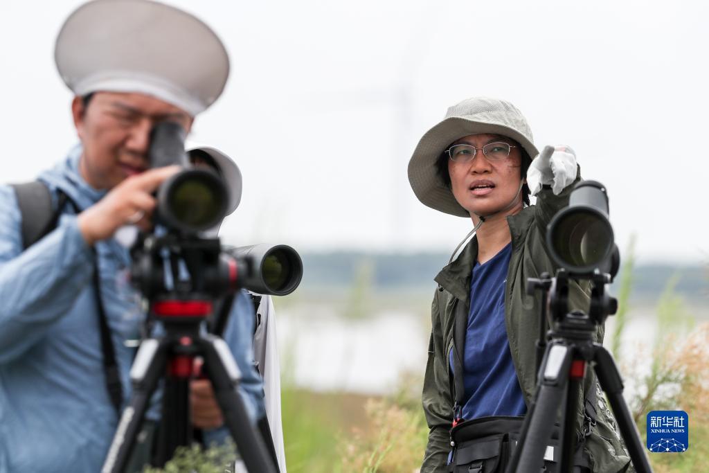 新巴黎人代理